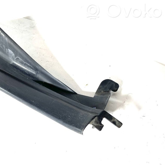 Rear door sill trim (inner)