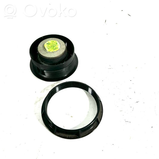 Динамик(и) в передней двери