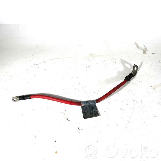 Plusa vads (akumulatora)