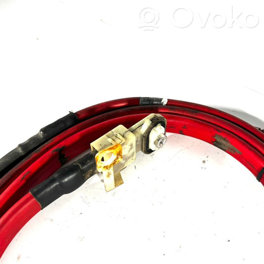 Plusa vads (akumulatora)