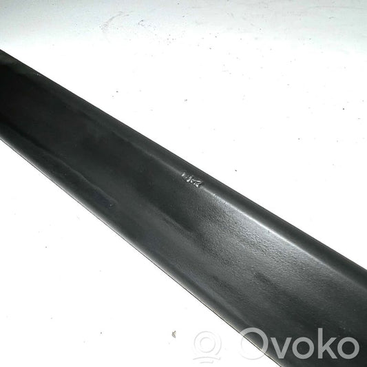 Rear door decorative trim (moulding)