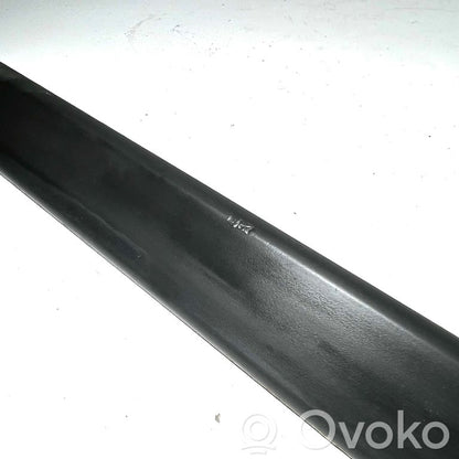 Aizmugurē durvju dekoratīvā apdare (moldings)