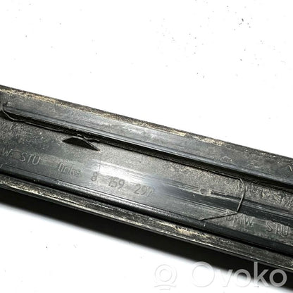 Rear door decorative trim (moulding)