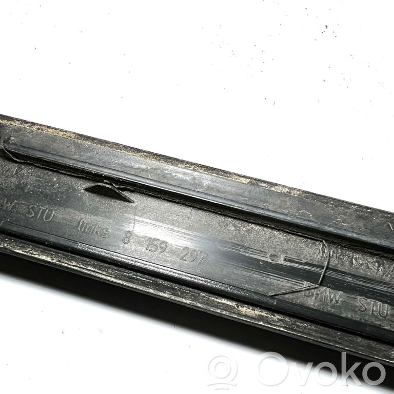 Rear door decorative trim (moulding)