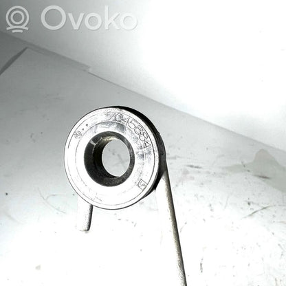 Aizmugurējā pārsega atspere (-es)