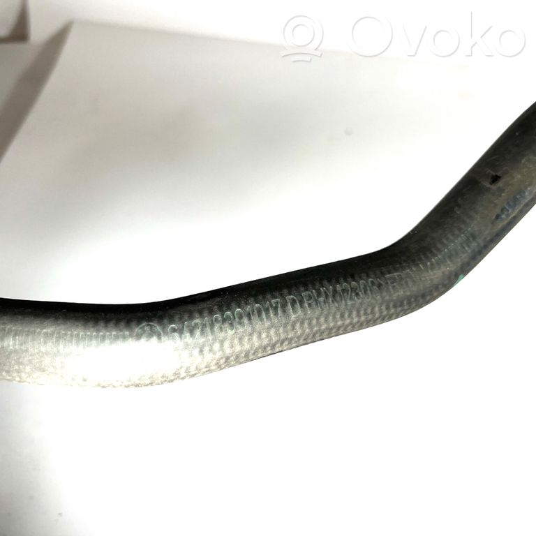 Caurulīte (-es) / šļūtene (-es)