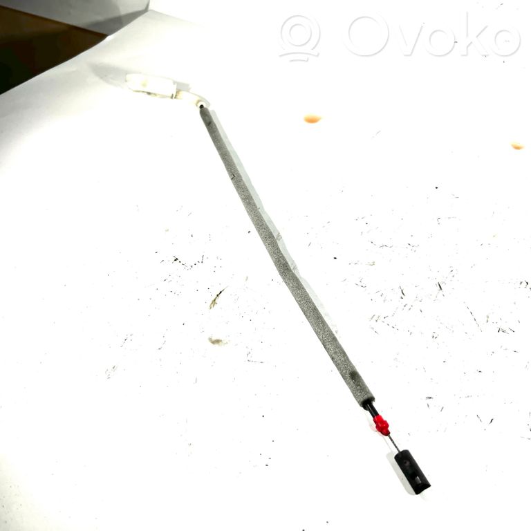 Trosīte
