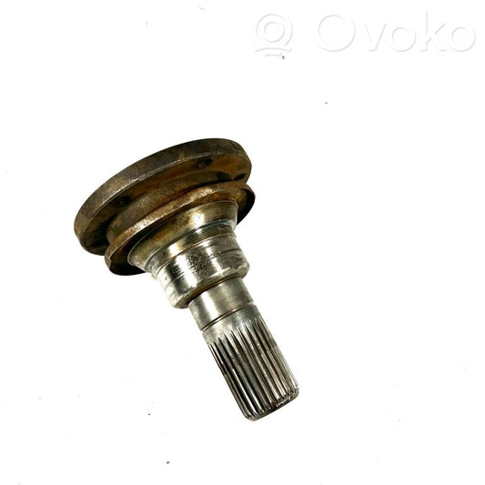 Aizmugurējā pusass