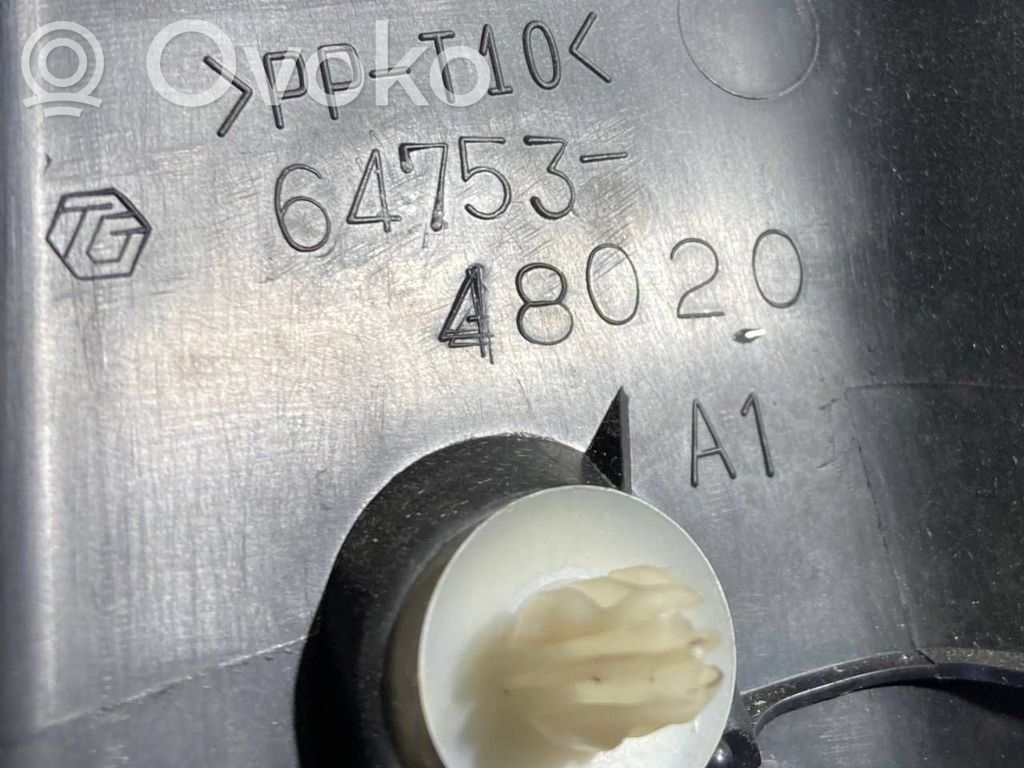 Cita veida bagāžnieka dekoratīvās apdares detaļa