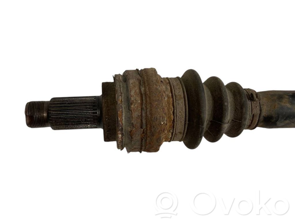 Aizmugurējā pusass