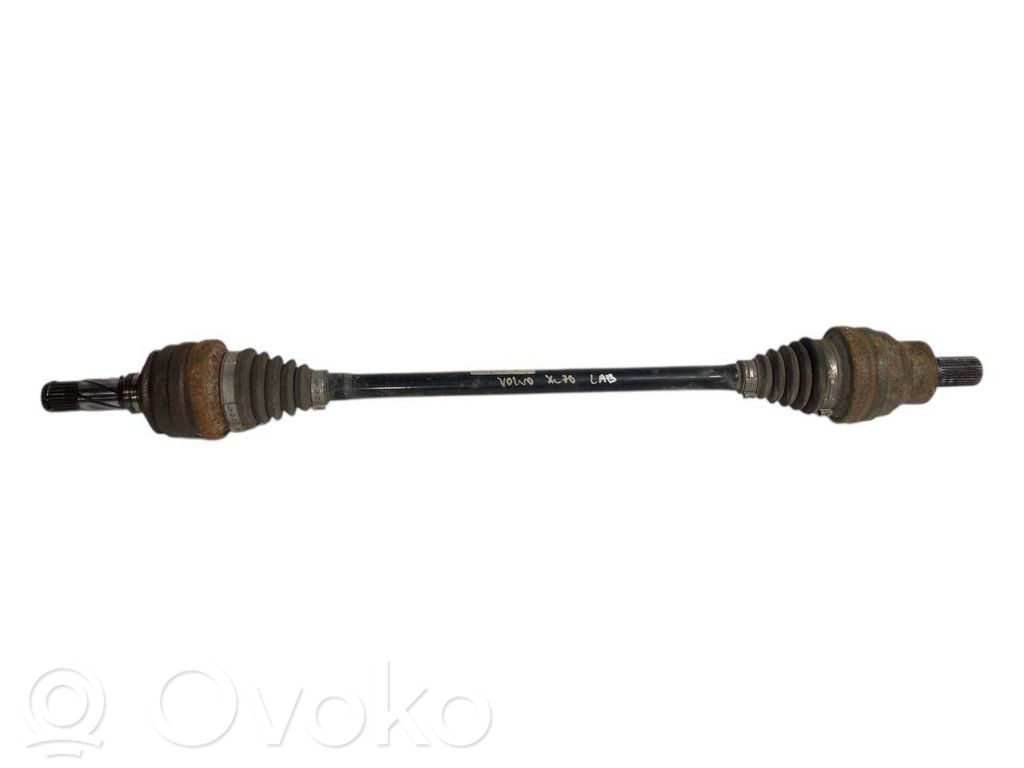 Aizmugurējā pusass