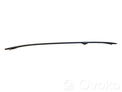 Longitudinal roof rails – "horns"