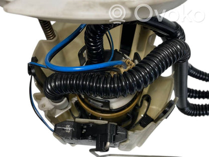 Fuel pump (in the fuel tank)