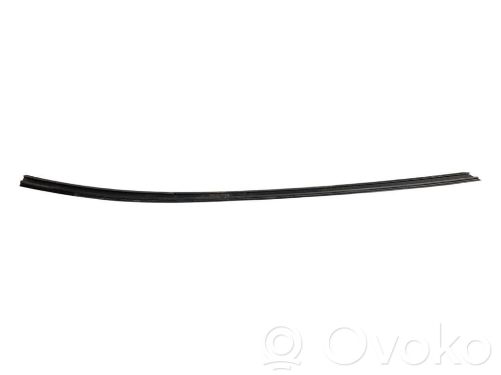 Priekšpusē durvju dekoratīvā apdare (moldings)