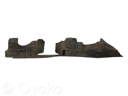 Dzinēja apakšas aizsargs (priekšdaļā)