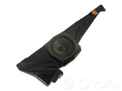 Speaker(s) in front door