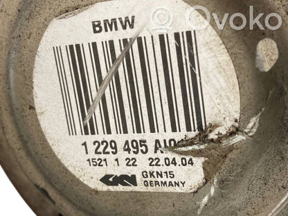 Aizmugurējā pusass