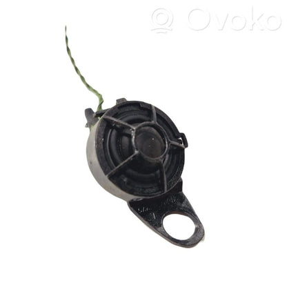 Speaker(s) in front door