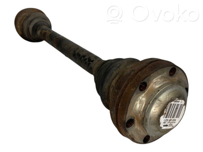 Aizmugurējā pusass