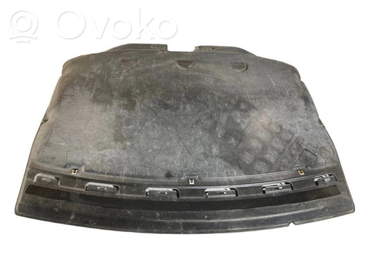 Dzinēja apakšas aizsargs