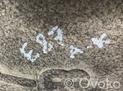 Aizmugurējais apakšspārns