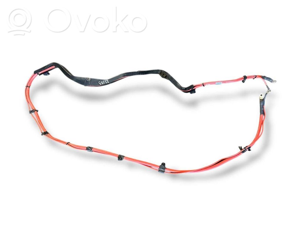 Plusa vads (akumulatora)