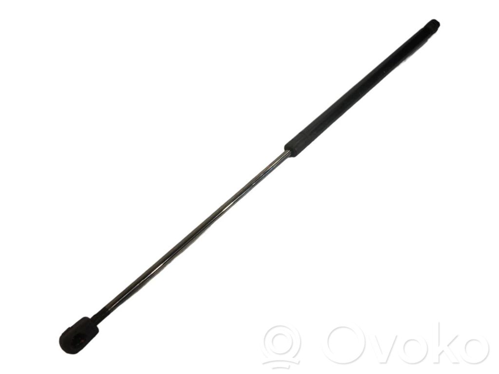 Bagāžnieka amortizators