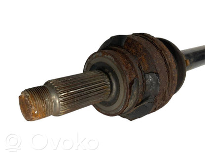 Aizmugurējā pusass