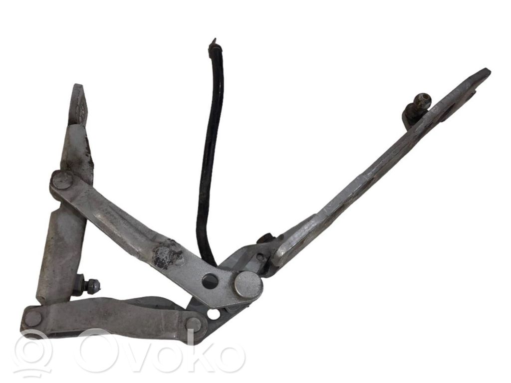 Петли капота двигателя