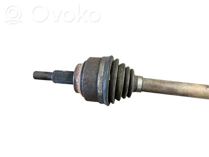 Aizmugurējā pusass