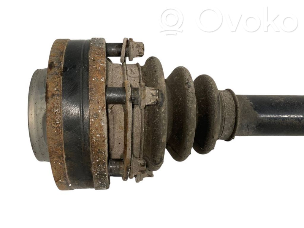 Aizmugurējā pusass