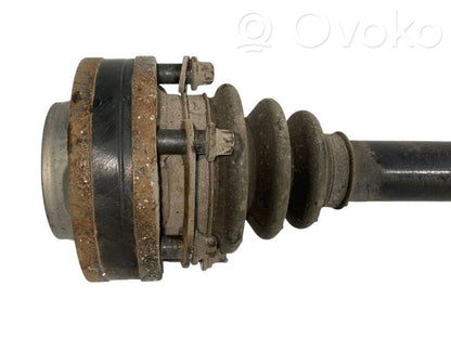 Aizmugurējā pusass