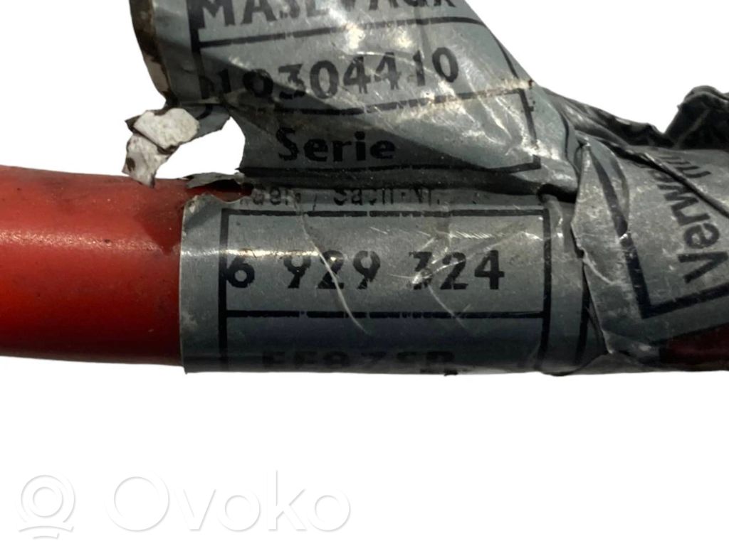 Plusa vads (akumulatora)