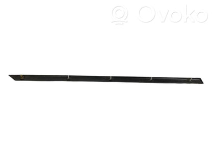 Aizmugurē durvju dekoratīvā apdare (moldings)