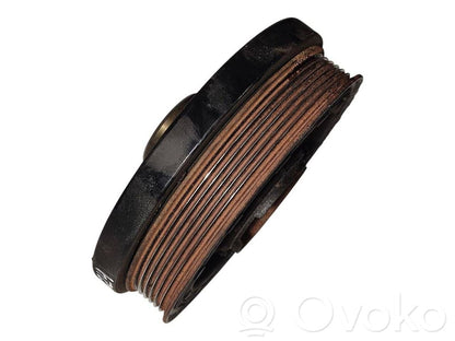 Kloķvārpstas skriemelis