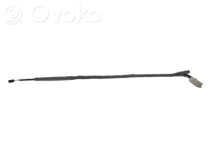 Trosīte