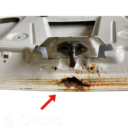 Aizmugurējais pārsegs (bagāžnieks)