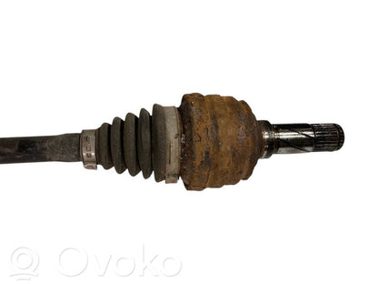 Aizmugurējā pusass