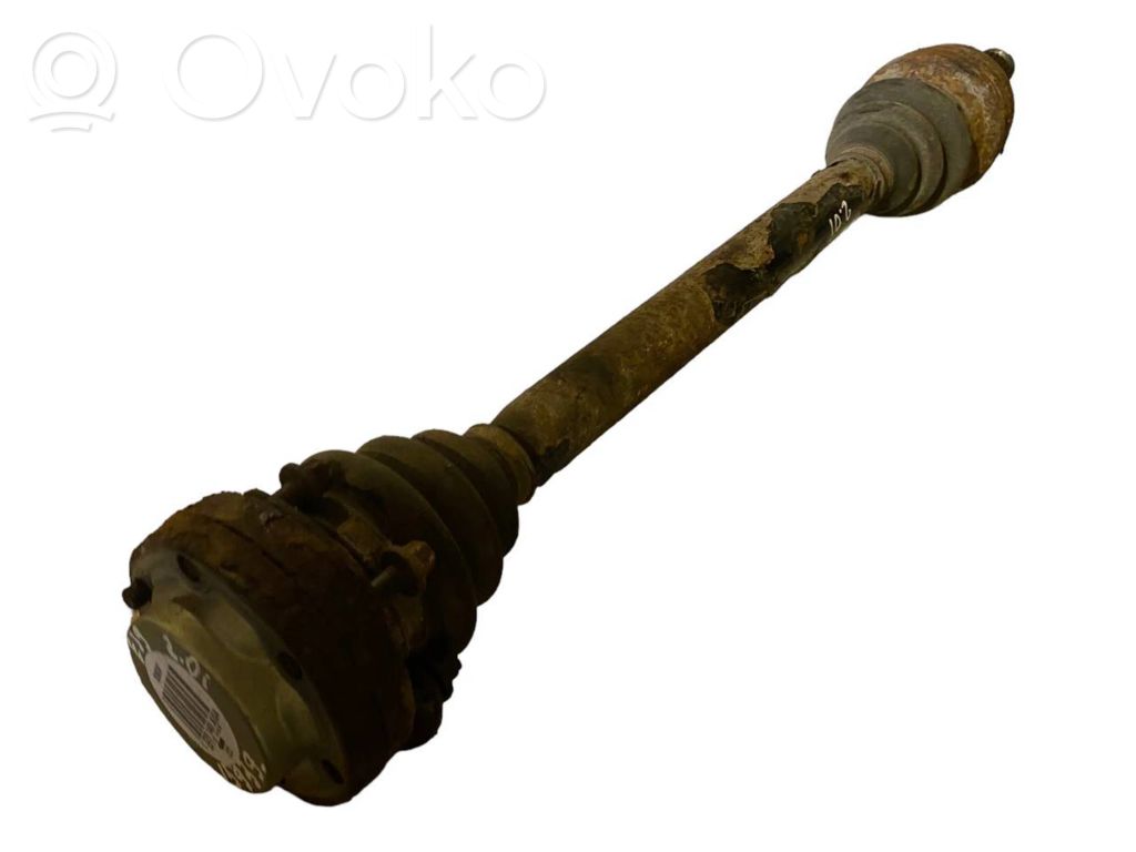 Aizmugurējā pusass