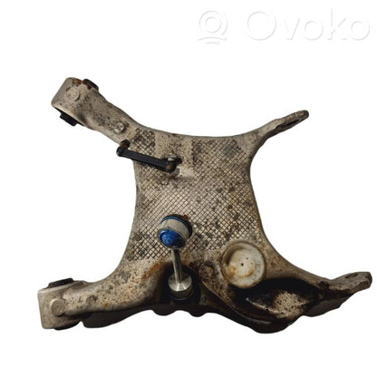 Apakšējais aizmugurējais plaukts