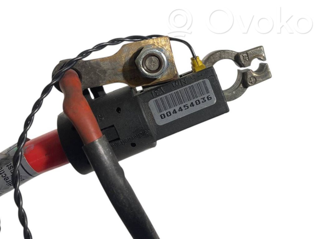 Plusa vads (akumulatora)