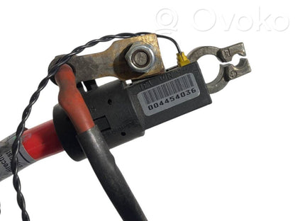 Plusa vads (akumulatora)