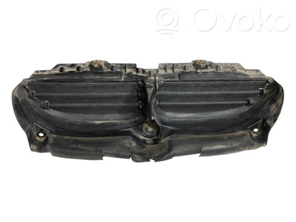 Gaisa plūsmas novirzītājs (-i)