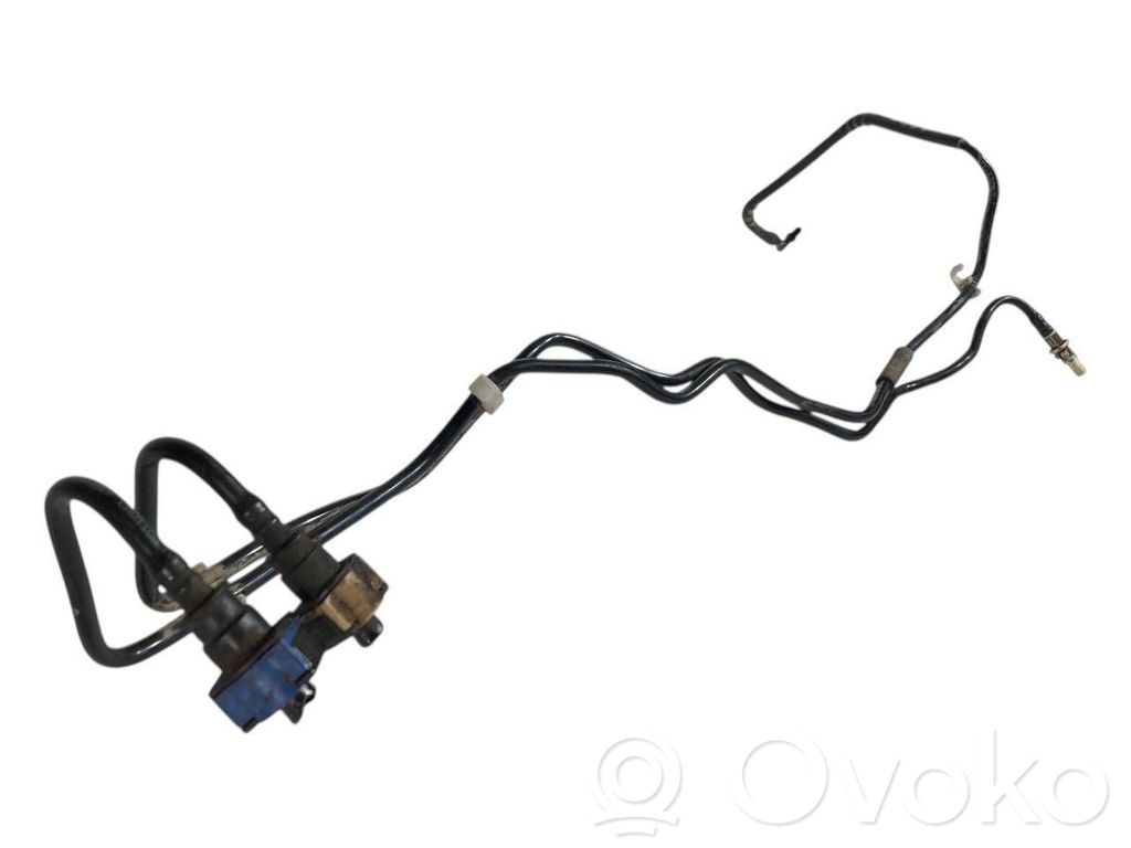 Caurule (-es) / šļūtene (-es)