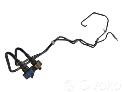 Caurule (-es) / šļūtene (-es)