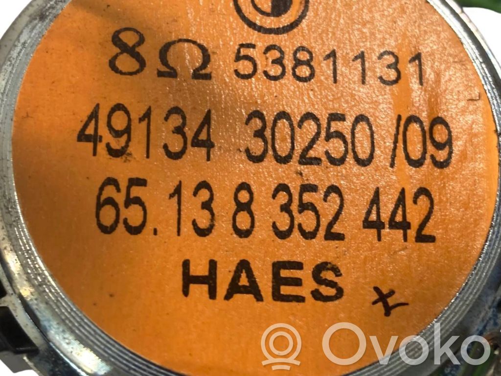 Твитер(ы) в передней двери