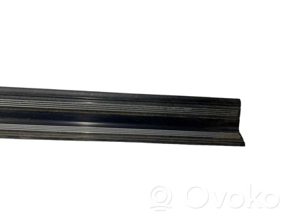 Front sill trim (inner)