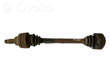 Aizmugurējā pusass