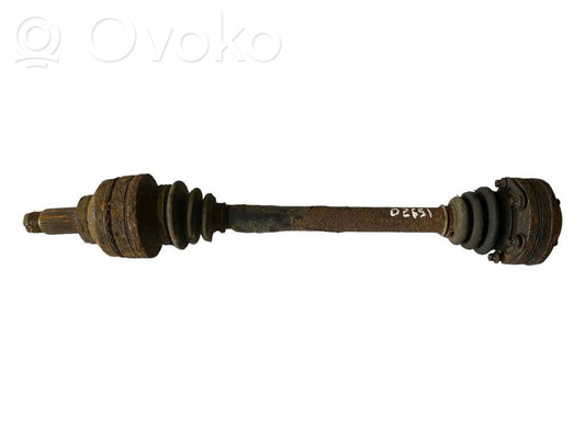 Aizmugurējā pusass