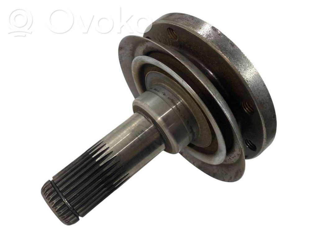 Aizmugurējā pusass